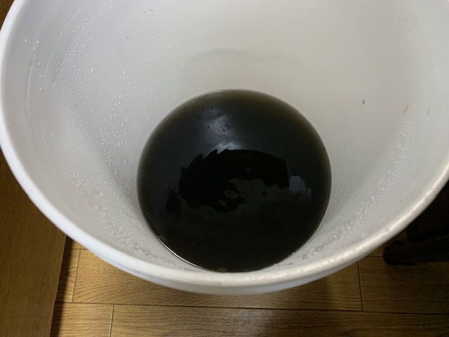 IMG_9010.jpeg